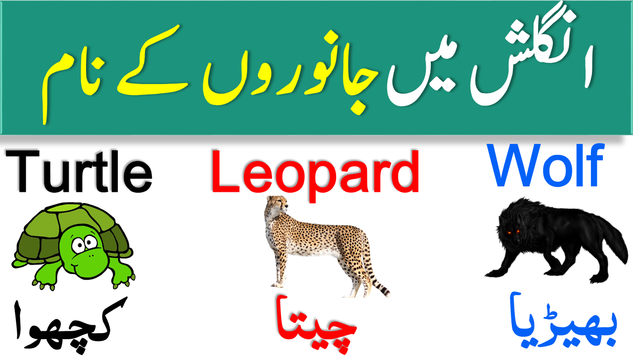 Animal Names in English with Urdu Meanings