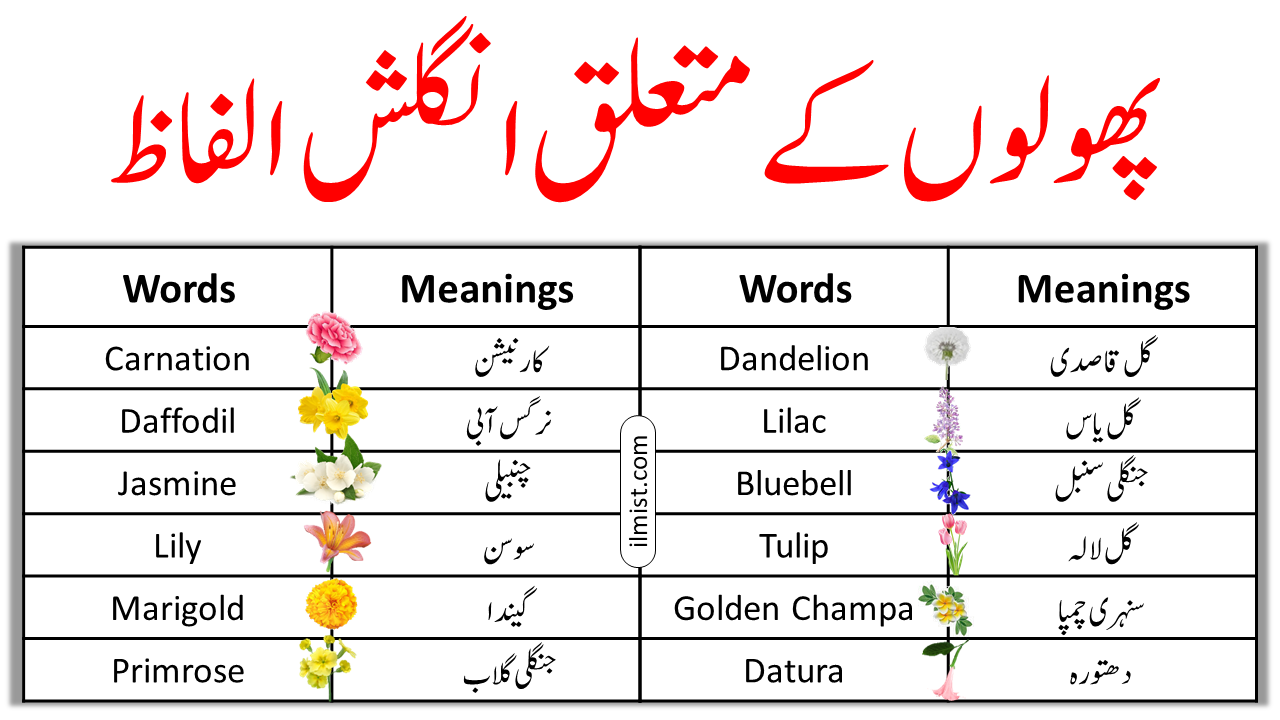 Flowers Vocabulary Words List In