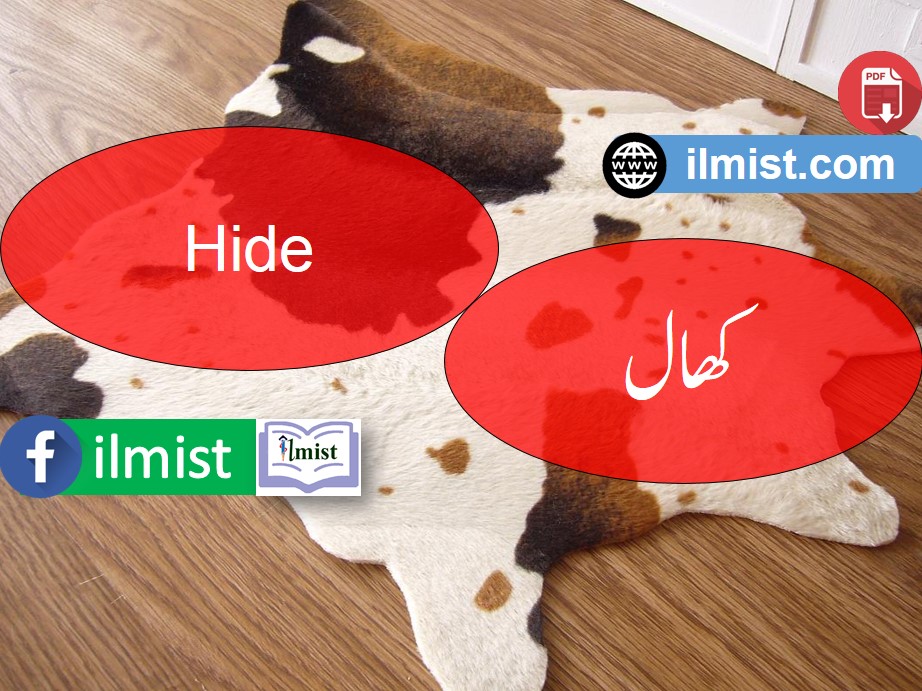 Eid Ul Adha Vocabulary PDF