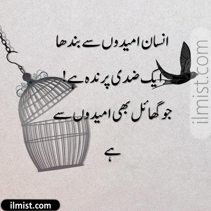 150 Sad Quotes in Urdu with Pictures 2020 - ilmist