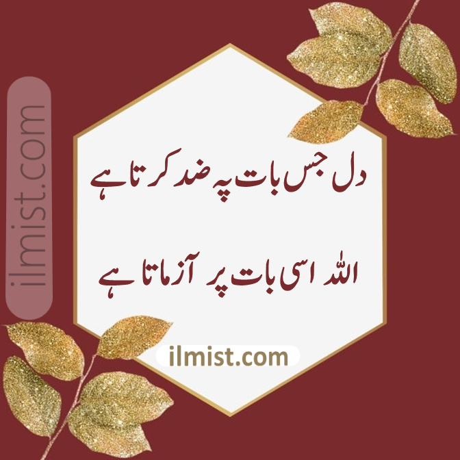 Inspirational Islamic Quotes in Urdu
