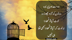 Friendship Poetry In Urdu 2020 Archives Ilmist