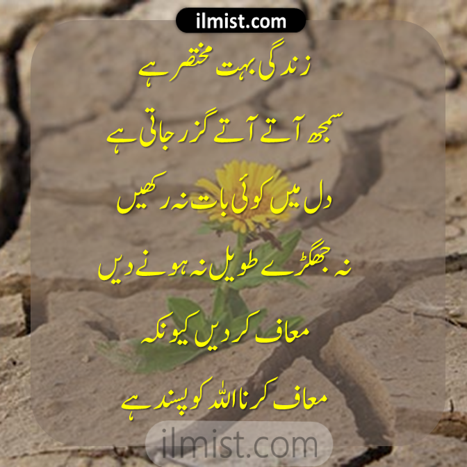 Urdu Quotes About Life 2020 for WhatsApp Status