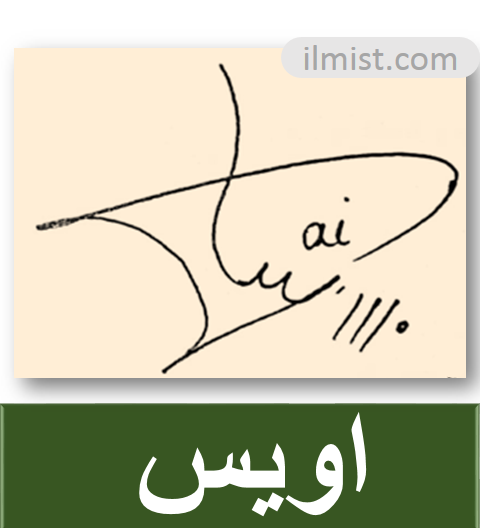 Best HandWritten Signatures For Your Name