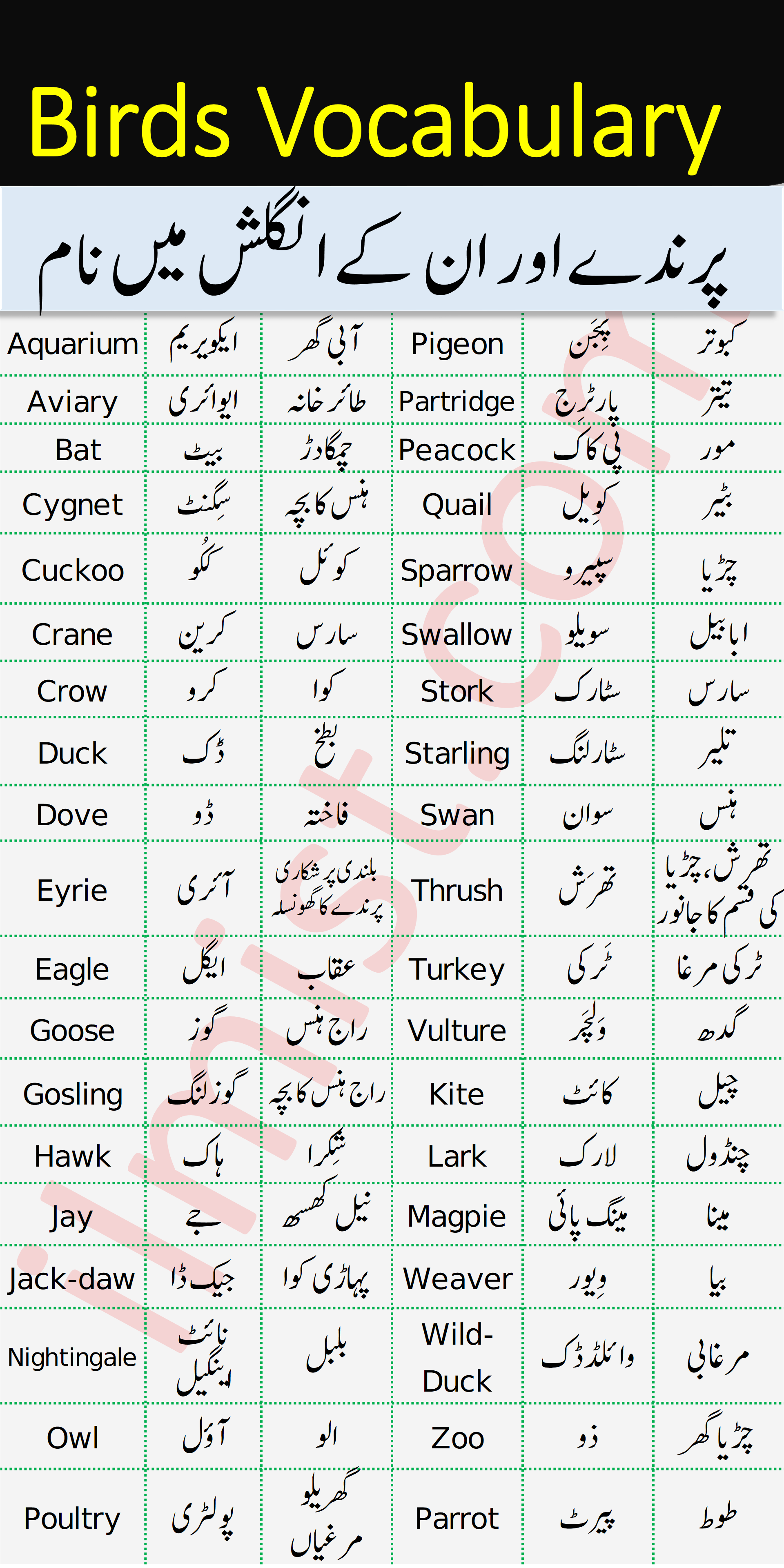 Birds Names with Urdu and Hindi Meanings