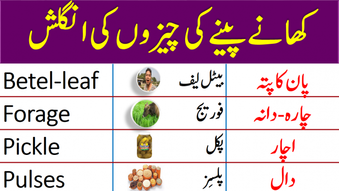 Vocabulary for Drinks & Eatables with Urdu Meanings