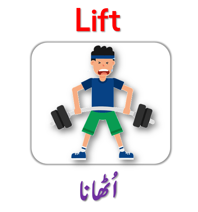 Body Movements Vocabulary with Urdu Meanings