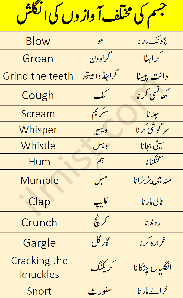 Body Sounds Vocabulary Words with Urdu Meanings