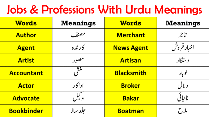 Jobs, Occupations and Professions Vocabulary Words In English To Urdu