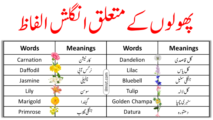 Flowers Vocabulary Words List In English To Urdu | Vocabulary