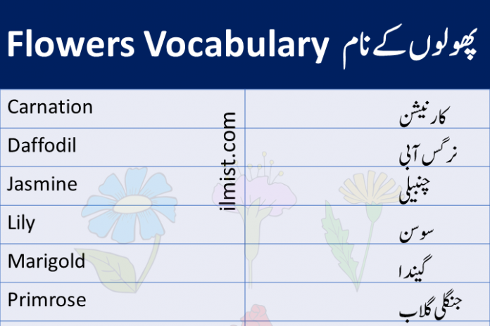 A To Z Flowers Vocabulary In English To Urdu