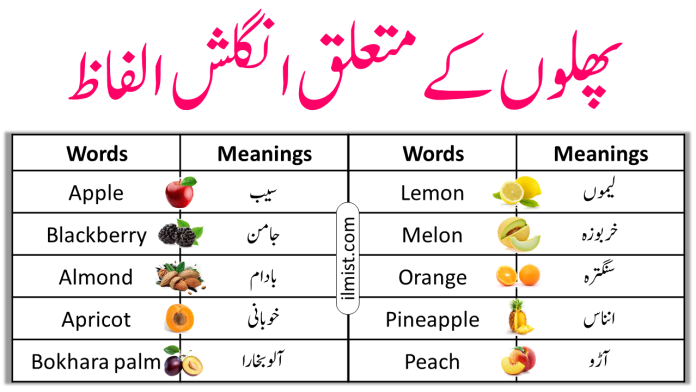 Fruits Vocabulary In English To Urdu | A To Z Fruits Name