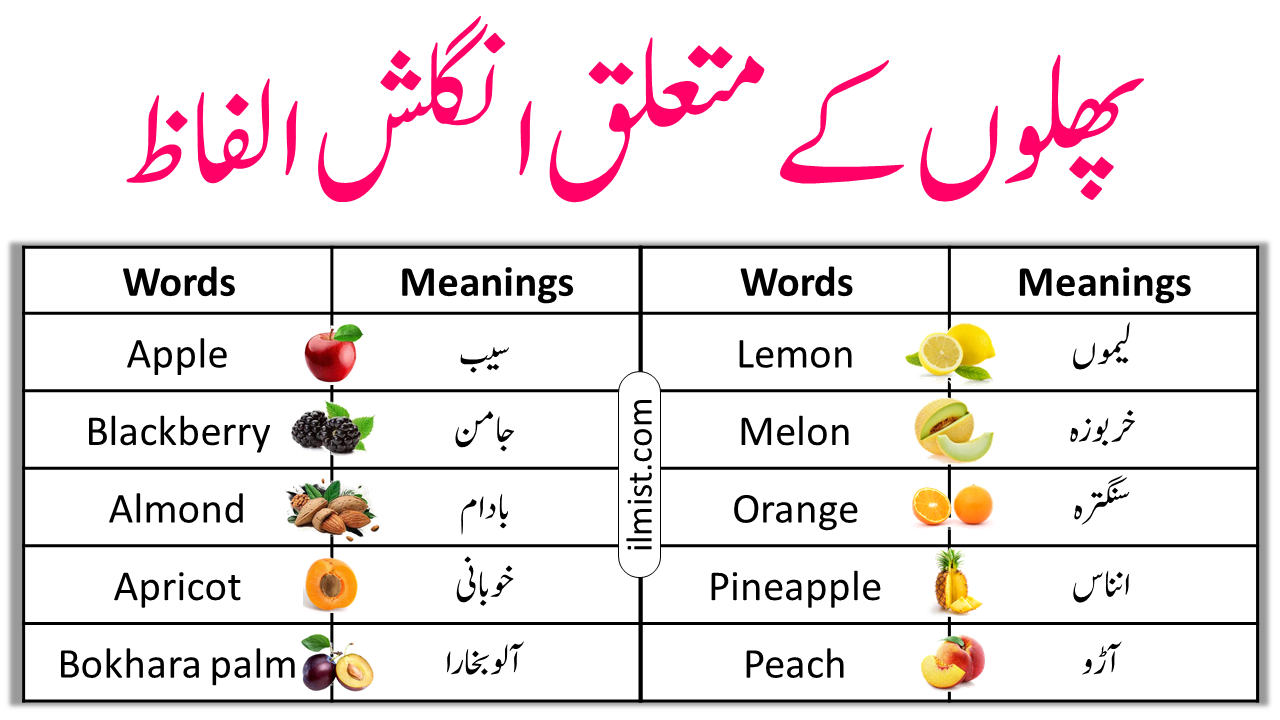 Fruits Vocabulary In English To Urdu | A To Z Fruits Name - ilmist