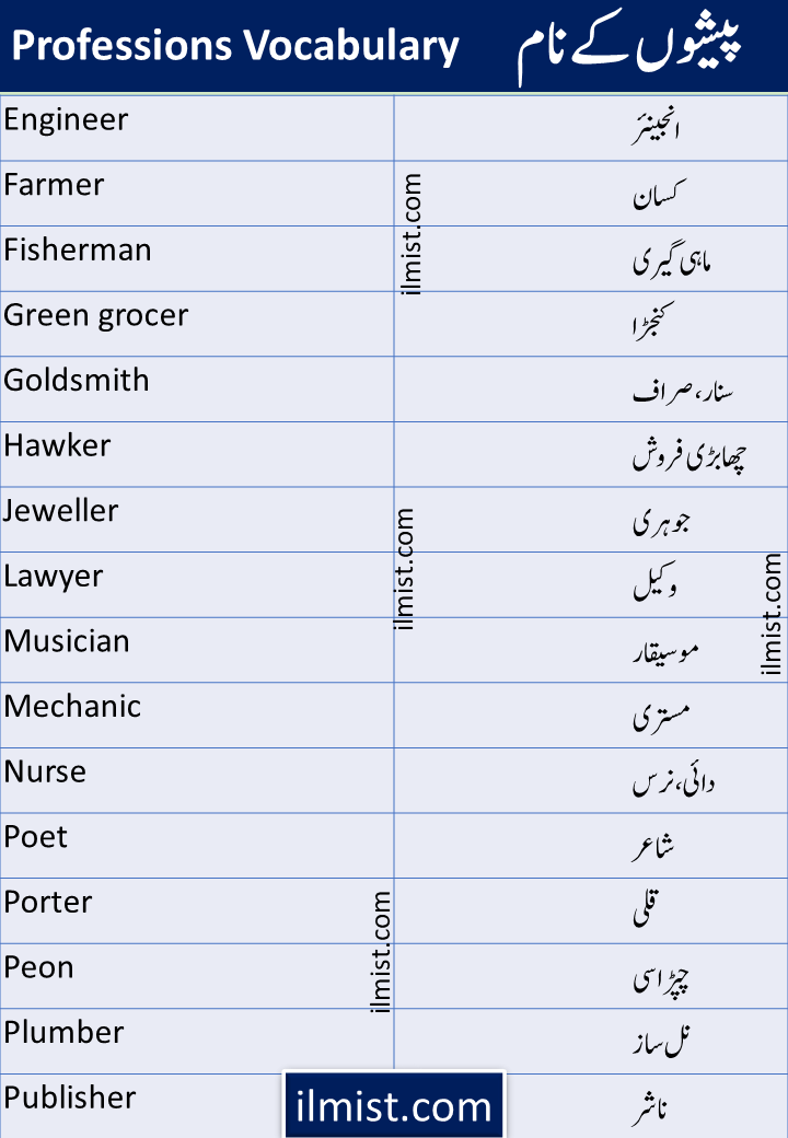 Jobs, Professions and Occupations Vocabulary Words In English To Urdu