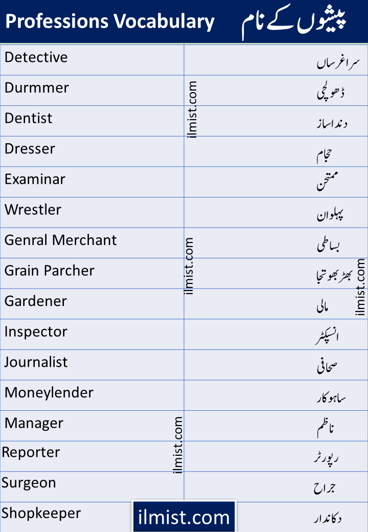 Jobs, Professions and Occupations Vocabulary Words In English To Urdu