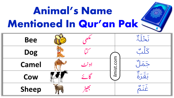 21 Animals Mentioned In Holy Qur’an | Animals In Quran