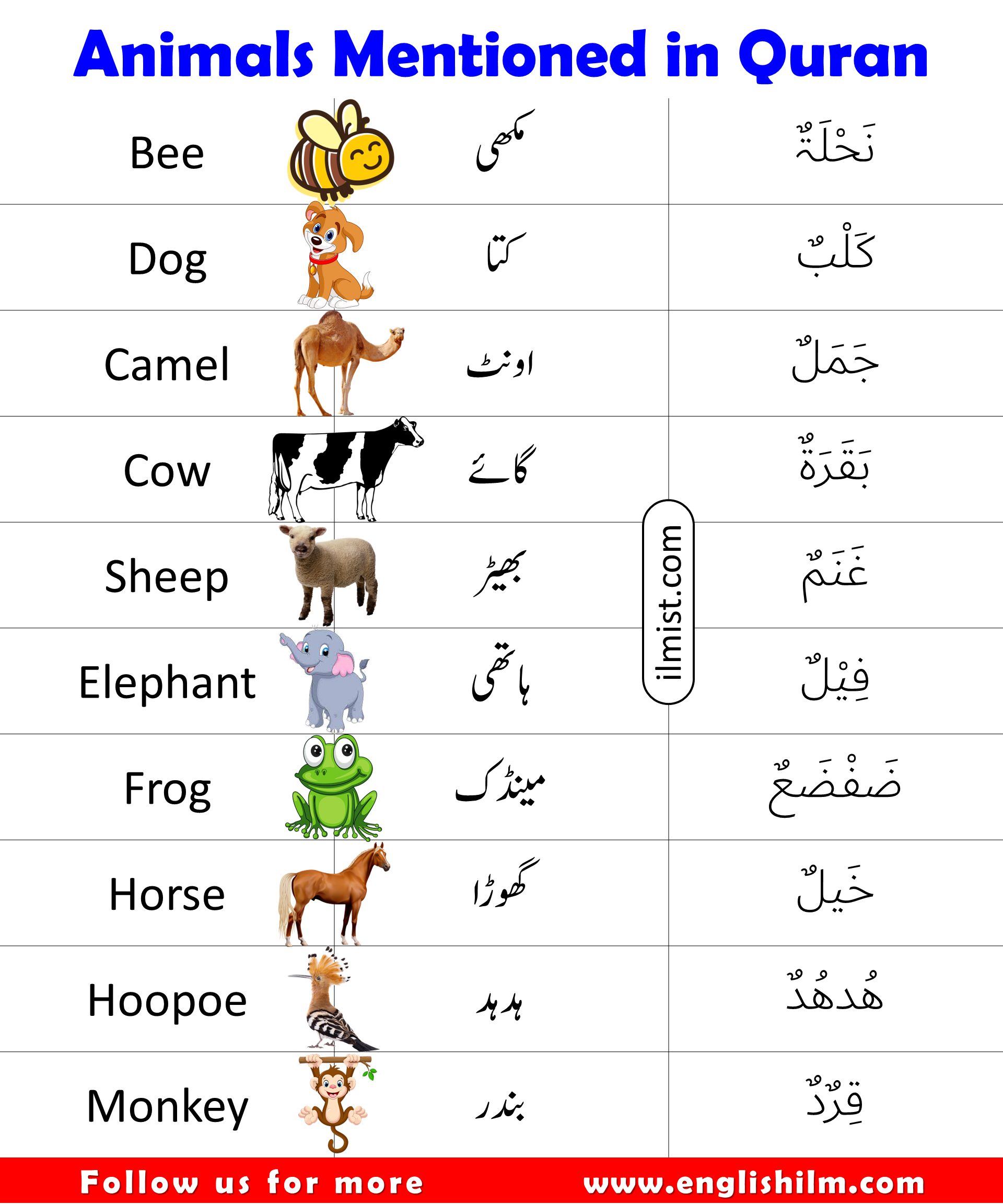 21 Animals Mentioned In Holy Qur’an | Animals In Quran