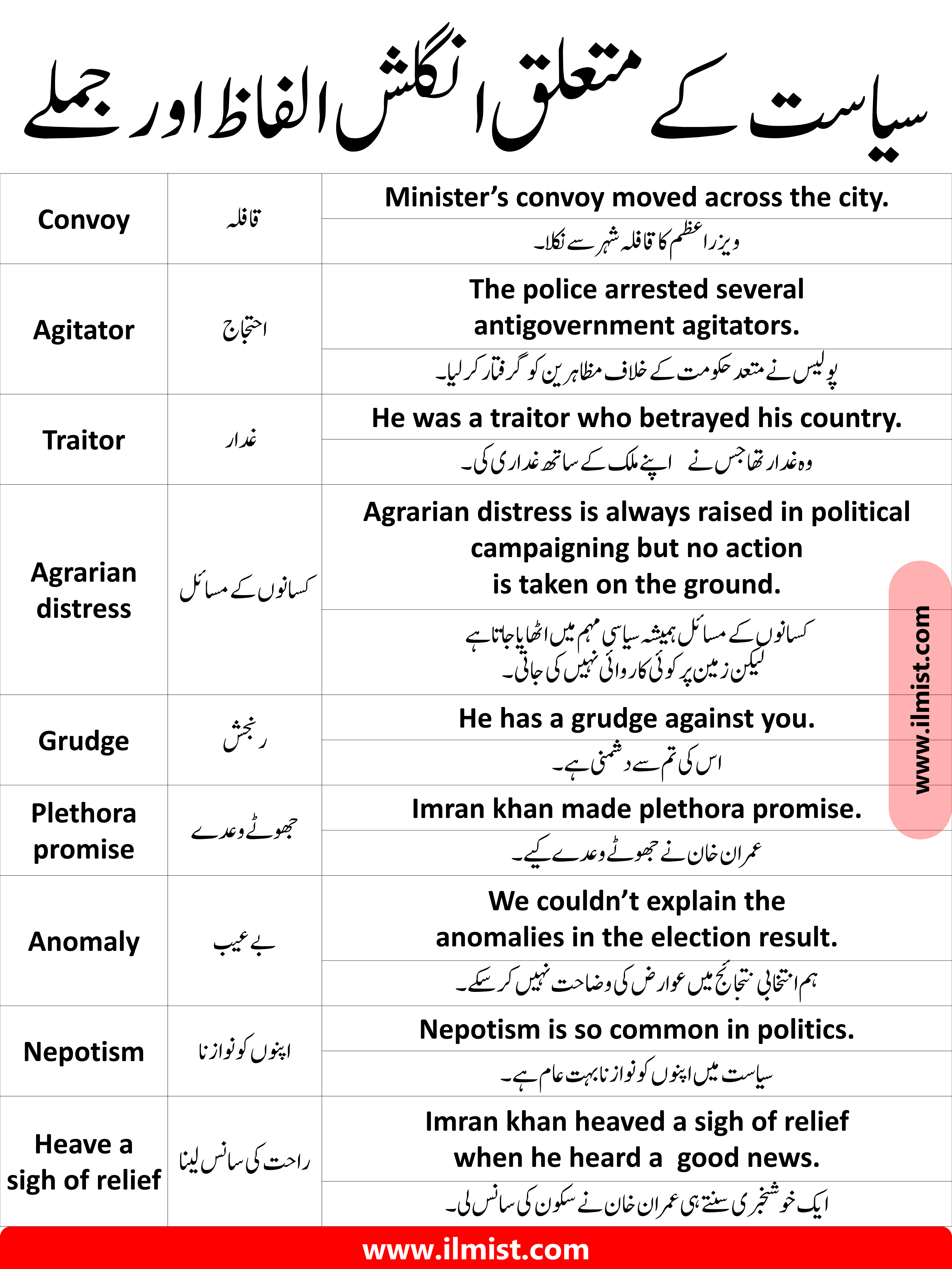 50+ Politics English Vocabulary Words and Sentences